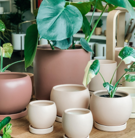 Pots/Planters